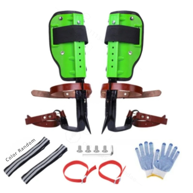 Scarpe da Arrampicata su Alber - Shoe Tree recensione e prezzo