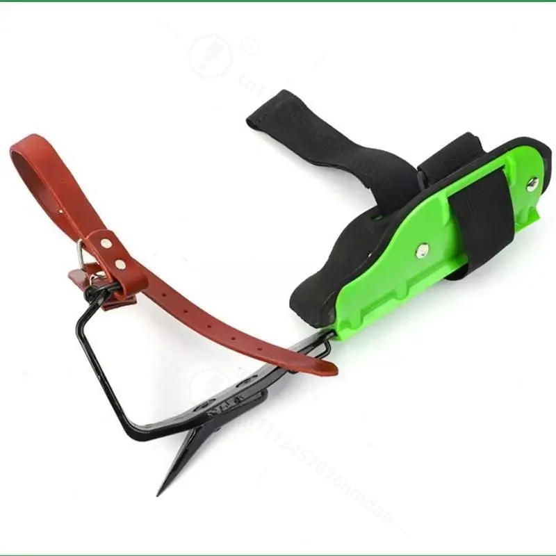Scarpe da Arrampicata su Alber - Shoe Tree recensione e prezzo