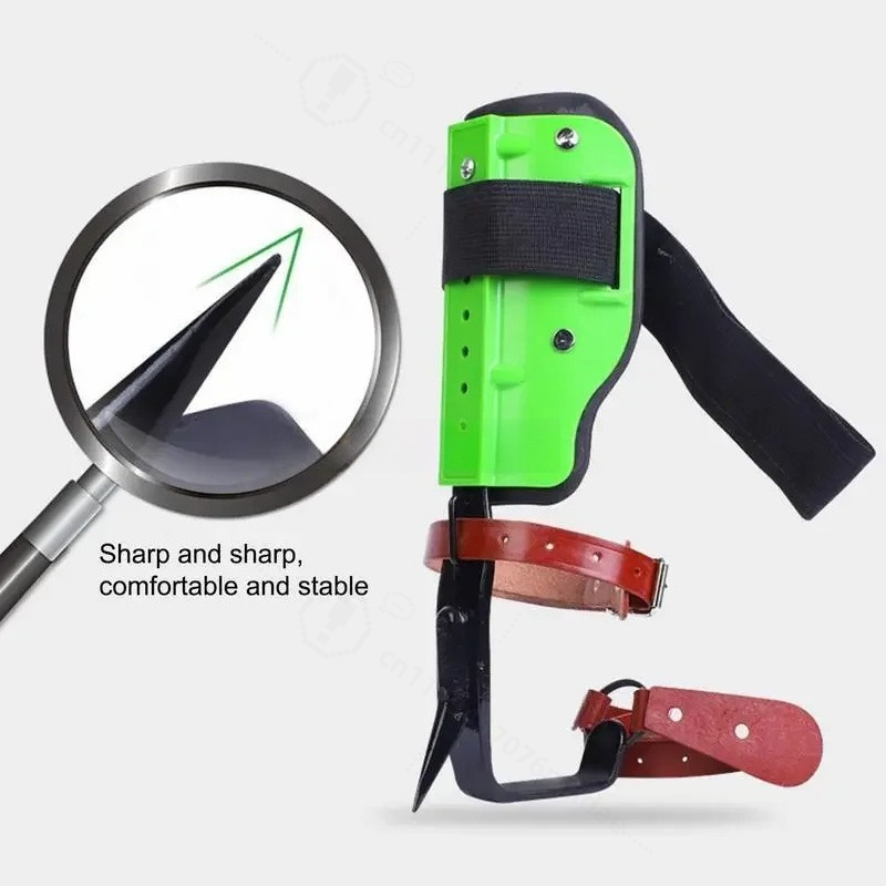Scarpe da Arrampicata su Alber - Shoe Tree recensione e prezzo