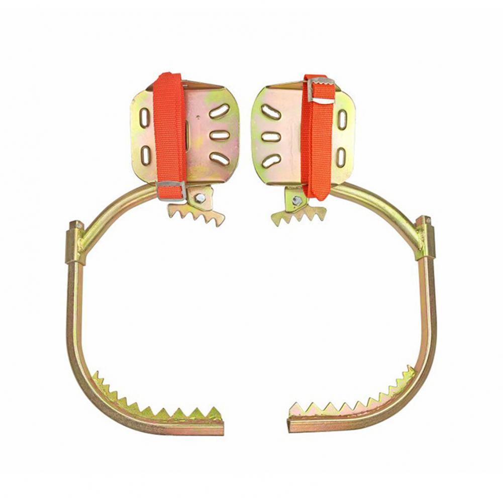 Set di 1 Scarpa da Arrampicata - Shoe Tree recensione e prezzo